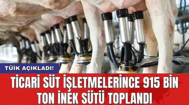 Ticari süt işletmelerince 915 bin ton inek sütü toplandı