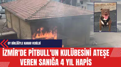 İzmir'de Pitbull'un Kulübesini Ateşe Veren Sanığa 4 Yıl Hapis