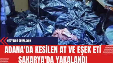 Adana'da Kesilen At ve Eşek Eti Sakarya'da Yakalandı