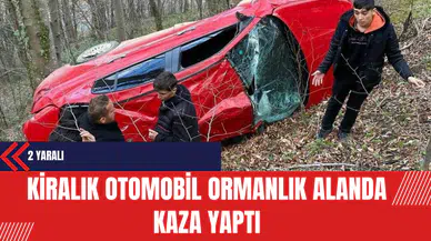 Kiralık Otomobil Ormanlık Alanda Kaza Yaptı: 2 Yaralı