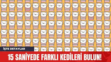 15 Saniyede Farklı Kedileri Bulun!