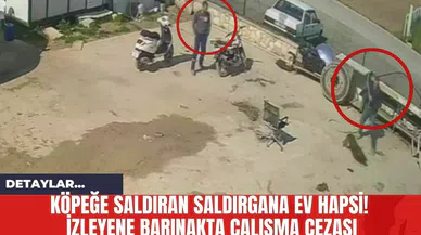 Köpeğe Saldıran Saldırgana Ev Hapsi! İzleyene Barınakta Çalışma Cezası