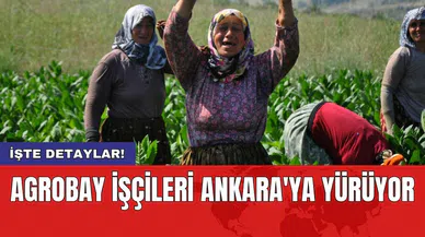 Agrobay işçileri Ankara'ya yürüyor