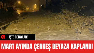 Mart Ayında Çerkeş Beyaza Kaplandı