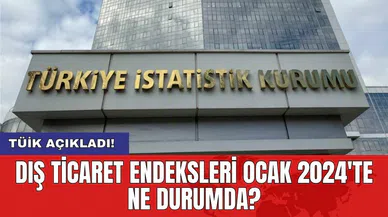 TÜİK açıkladı! Dış ticaret endeksleri Ocak 2024'te ne durumda?