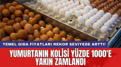 Temel gıda fiyatları rekor seviyede arttı! Yumurtanın kolisi yüzde 1000'e yakın zamlandı
