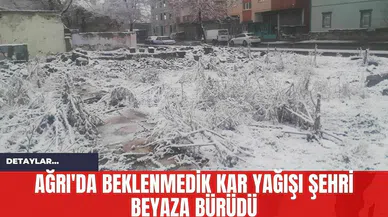 Ağrı'da Beklenmedik Kar Yağışı Şehri Beyaza Bürüdü