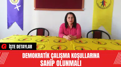 Demokratik çalışma koşullarına sahip olunmalı