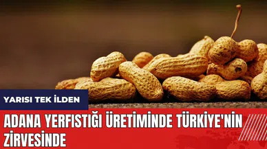 Adana yerfıstığı üretiminde Türkiye'nin zirvesinde