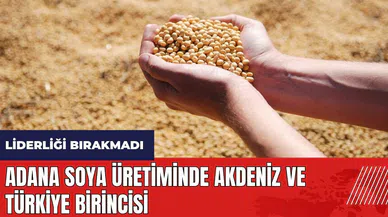 Adana soya üretiminde Akdeniz ve Türkiye birincisi