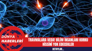 Travmalara Veda! Bilim İnsanları Korku Hissini Yok Edecekler