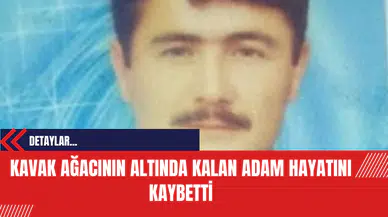 Kavak Ağacının Altında Kalan Adam Hayatını Kaybetti