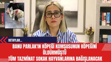 Banu Parlak'ın Köpeği Komşusunun Köpeğini Öldürmüştü: Tüm tazminat sokak hayvanlarına bağışlanacak