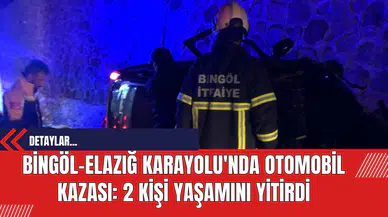 Bingöl-Elazığ Karayolu'nda Otomobil Kazası: 2 Kişi Yaşamını Yitirdi