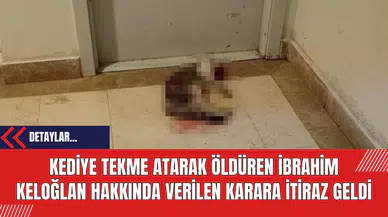 Kediye Tekme Atarak Öldüren İbrahim Keloğlan Hakkında Verilen Karara İtiraz Geldi