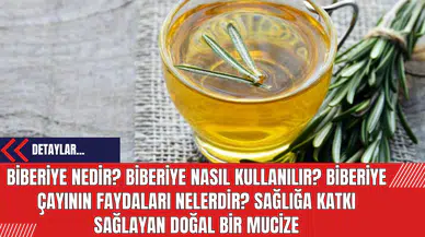 Biberiye Nedir? Biberiye Nasıl Kullanılır? Biberiye Çayının Faydaları Nelerdir? Sağlığa Katkı Sağlayan Doğal Bir Mucize