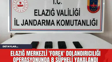 Elazığ Merkezli 'Forex' Dolandırıcılığı Operasyonunda 8 Şüpheli Yakalandı