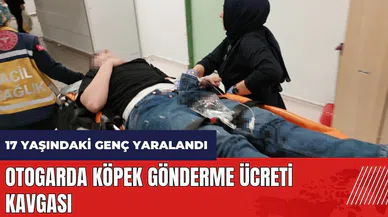 Otogarda köpek gönderme ücreti kavgası! 17 yaşındaki genç yaralandı