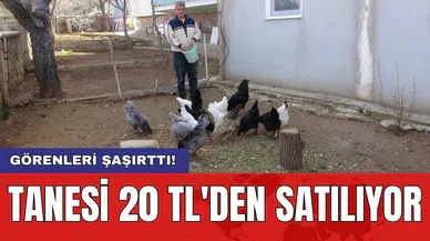 Görenleri şaşırttı! Tanesi 20 TL'den satılıyor