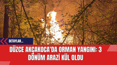 Düzce Akçakoca'da Orman Yangını: 3 Dönüm Arazi Kül Oldu
