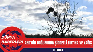 ABD'nin Doğusunda Şiddetli Fırtına ve Yağış