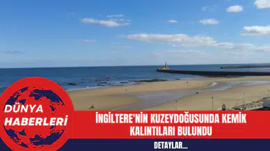 İngiltere'nin Kuzeydoğusunda Kemik Kalıntıları Bulundu