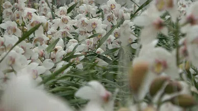 İhracatta yüzde 90 artış