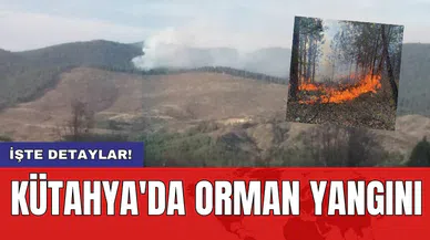 Kütahya'da orman yangını