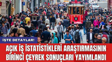 Açık İş İstatistikleri araştırmasının birinci çeyrek sonuçları yayımlandı