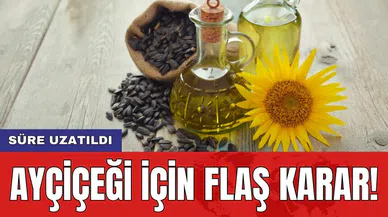 Ayçiçeği için flaş karar! Süre uzatıldı
