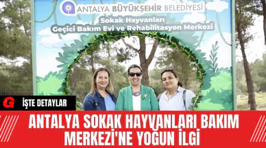 Antalya Sokak Hayvanları Bakım Merkezi'ne Yoğun İlgi