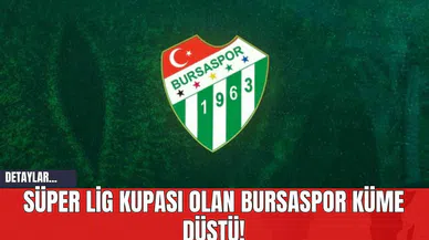 Süper Lig Kupası Olan Bursaspor Küme Düştü!