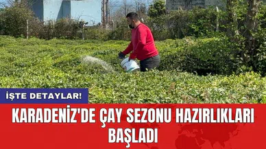 Karadeniz'de çay sezonu hazırlıkları başladı