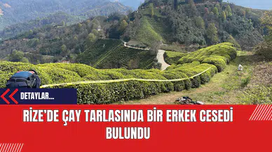 Rize’de Çay Tarlasında Bir Erkek Cesedi Bulundu