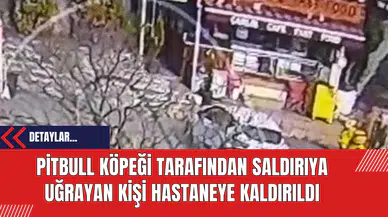 Pitbull Köpeği Tarafından Saldırıya Uğrayan Kişi Hastaneye Kaldırıldı