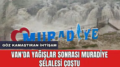 Van'da yağışlar sonrası Muradiye Şelalesi çoştu