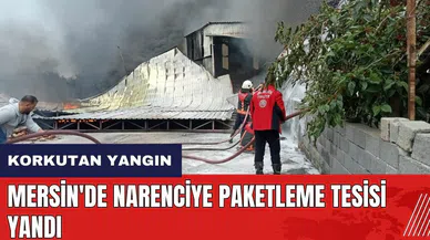 Mersin'de narenciye paketleme tesisi yandı