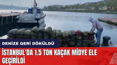 İstanbul'da 1.5 ton kaçak midye ele geçirildi
