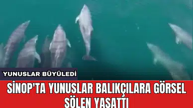 Sinop'ta yunuslar balıkçılara görsel şölen yaşattı
