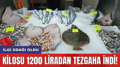 Kilosu 1200 liradan tezgaha indi! İlgi odağı oldu
