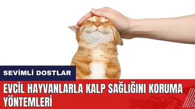 Sevimli dostlar kalbinizin de dostu! Evcil hayvanlarla kalp sağlığını koruma yöntemleri