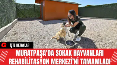 Muratpaşa'da Sokak Hayvanları Rehabilitasyon Merkezi’ni Tamamladı