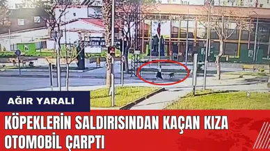 Adana'da köpeklerin saldırısından kaçan kıza otomobil çarptı