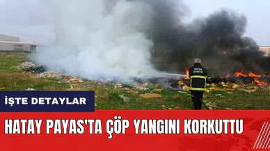 Hatay Payas'ta çöp yangını korkuttu