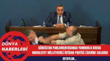 Gürcistan Parlamentosunda Yumruklu Kavga: Muhalefet Milletvekili İktidar Partisi Liderine Saldırdı