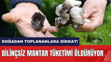 Doğadan toplanan mantarlara dikkat! Bilinçsiz mantar tüketimi öldürüyor