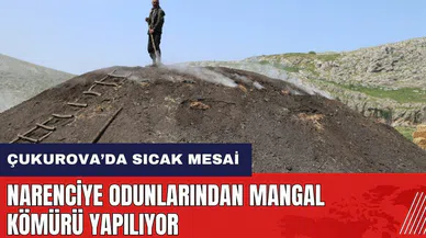Adana Çukurova'da narenciye odunlarından mangal kömürü yapılıyor
