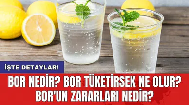 Bor nedir? Bor tüketirsek ne olur? Bor'un zararları nedir?