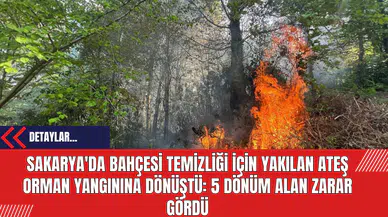 Sakarya'da Bahçesi Temizliği İçin Yakılan Ateş Orman Yangınına Dönüştü: 5 Dönüm Alan Zarar Gördü