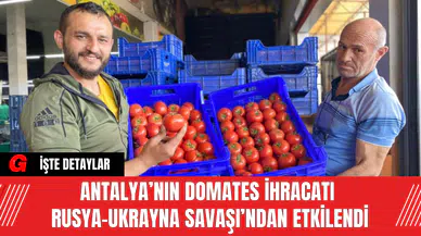 Antalya’nın Domates İhracatı Rusya-Ukrayna Savaşı’ndan Etkilendi